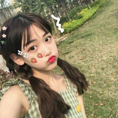 嘉南传