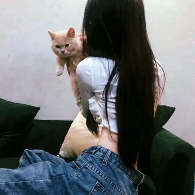苦茶香